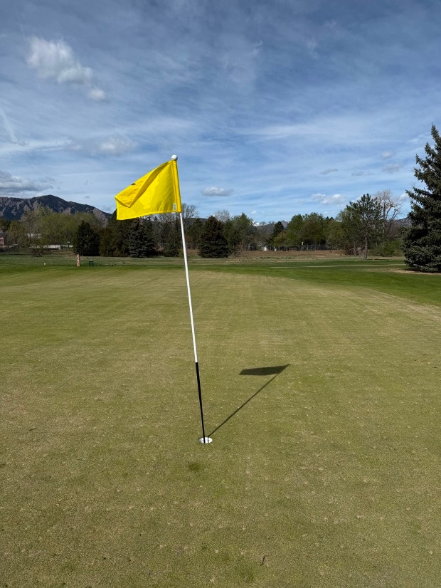 Post Image