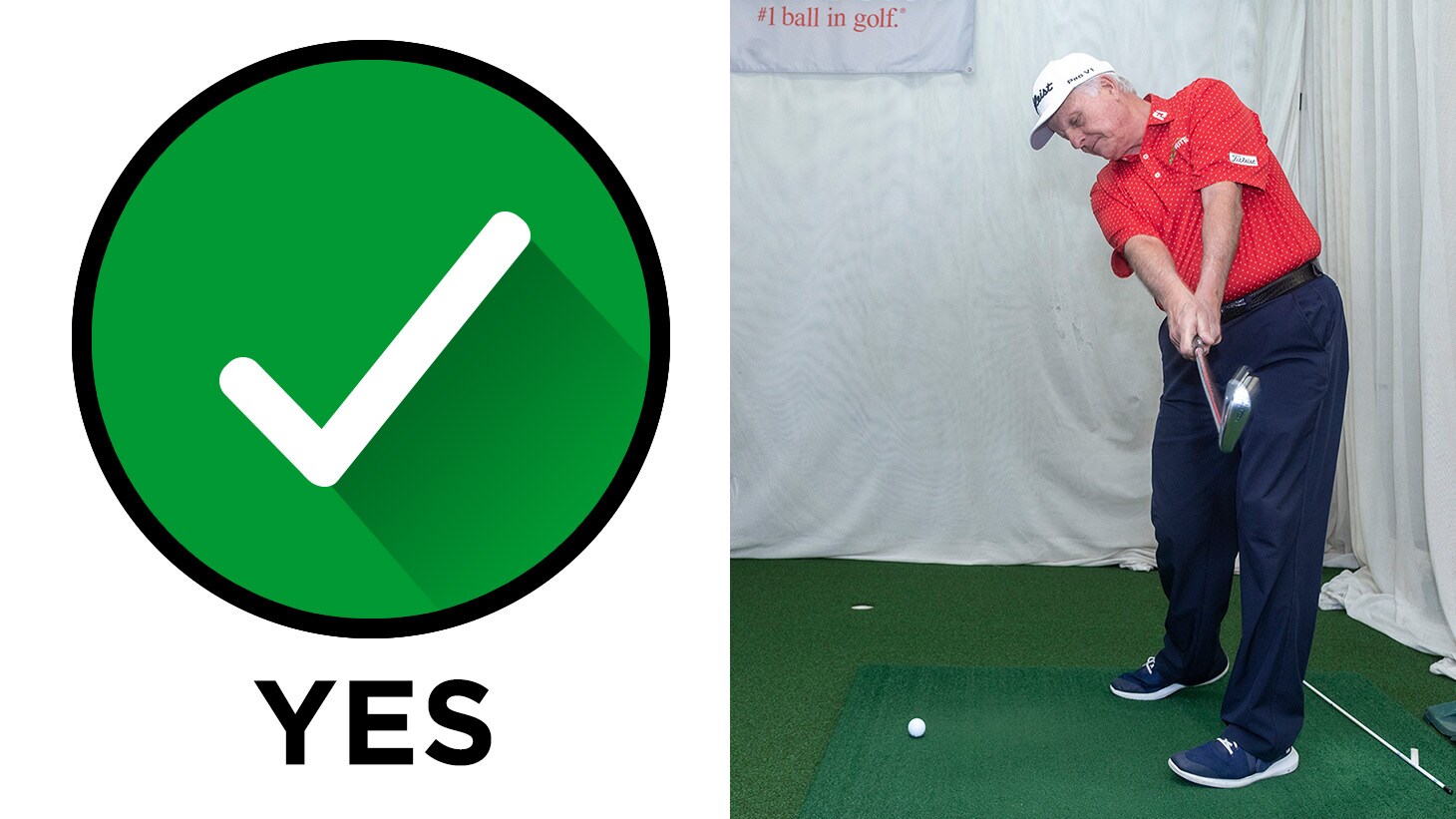 The release. I feel like I'm letting the...