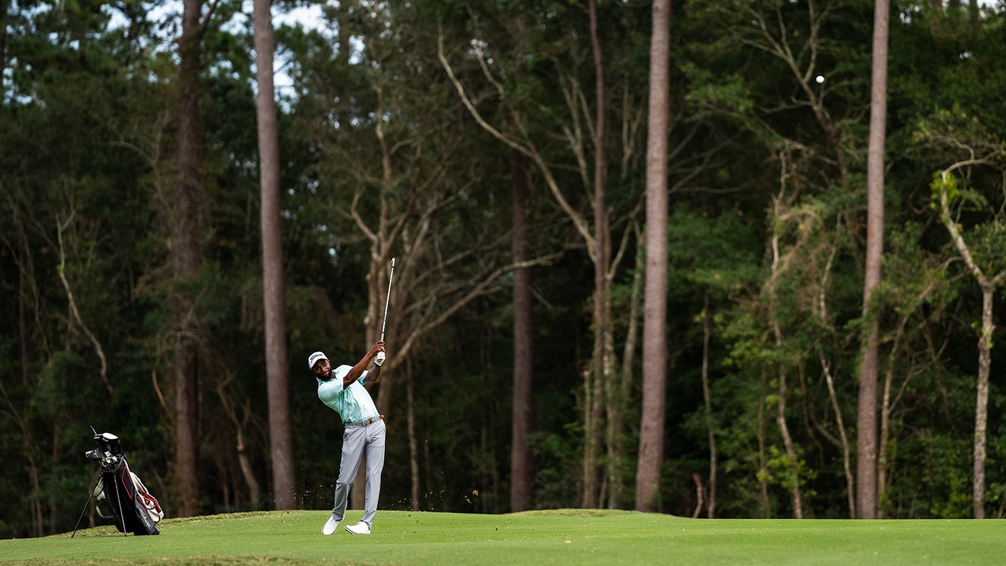 A penetrating iron shot from Eltoria. "I felt...