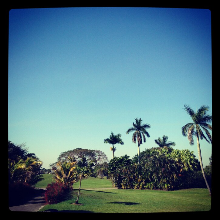 Not sure we've seen a bad a view yet.