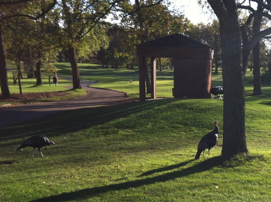 A perfect fall day just isn't complete without...