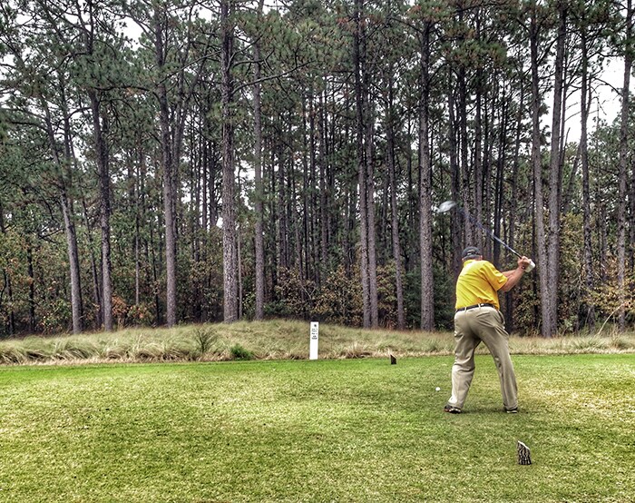 Pine Needles was created in the 1950s among the...