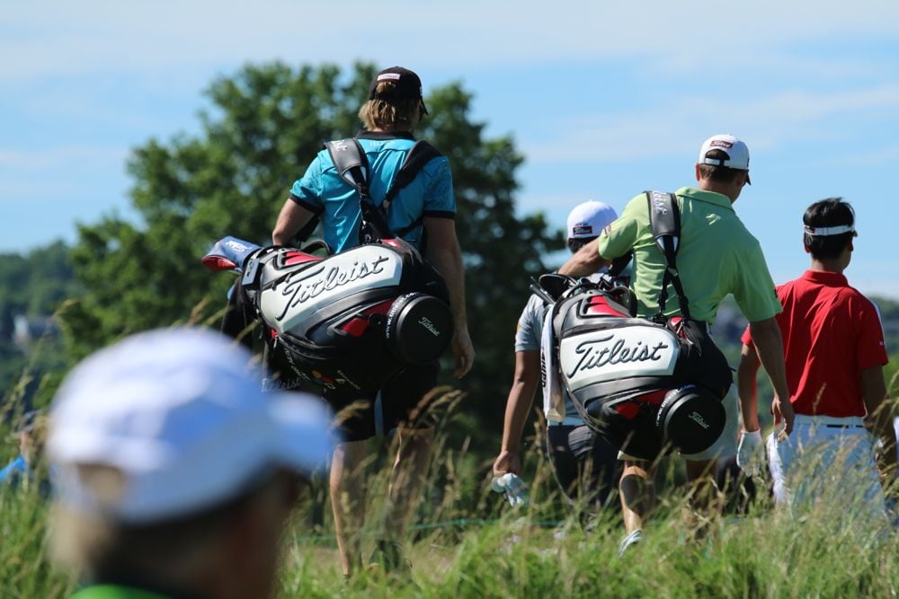 Enjoy the walk, guys!