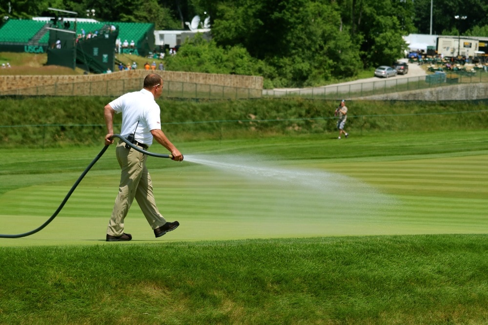 The sun came out in the afternoon and it brought...