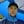 Dan B