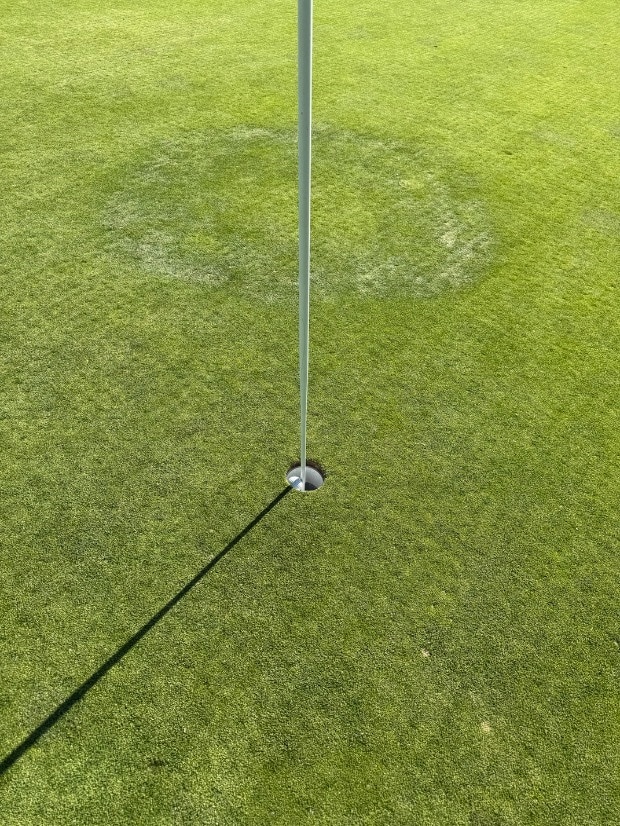 Hole in One!